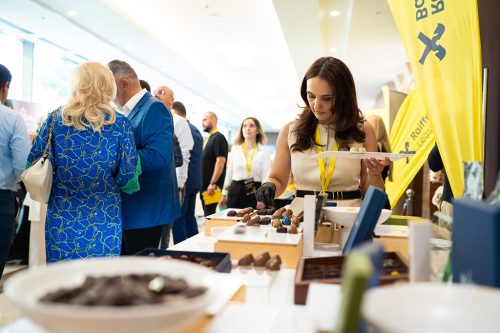 be inspired craiova 2025 2490